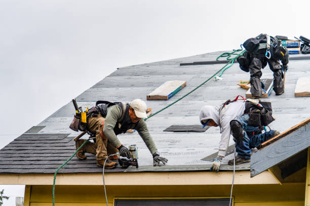 Professional Roof Inspection technician working in East Moriches, NY
